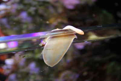 IMG_0316.JPG