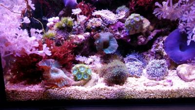 20131220_192248.jpg