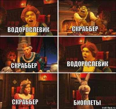 dafbd42d2f863e82f4ff7be3249ddb8e.jpg