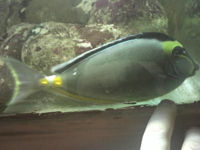 IMG0848.jpg