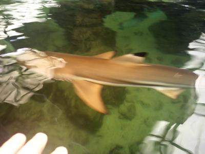 IMG0717.jpg