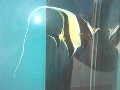 IMG0739.jpg