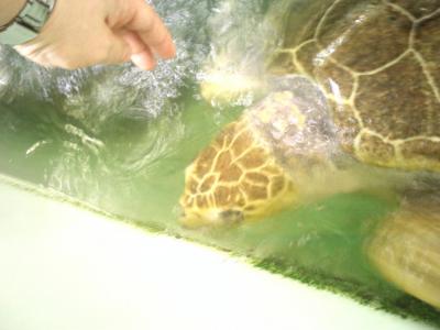 IMG0730.jpg