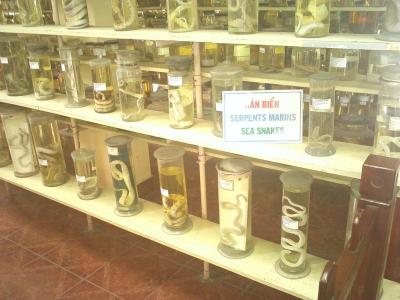 IMG0863.jpg