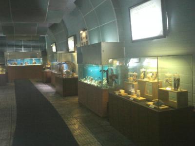 IMG0859.jpg
