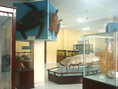 IMG0874.jpg