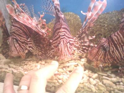 IMG0784.jpg