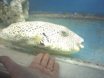 IMG0740.jpg