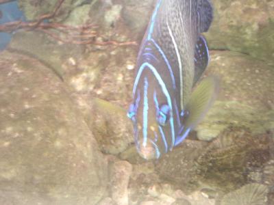 IMG0778.jpg