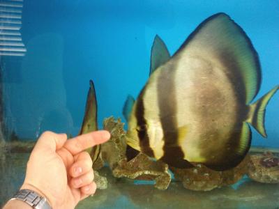 IMG0809.jpg