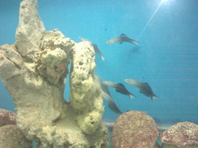 IMG0788.jpg