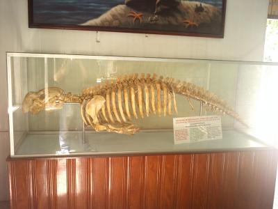 IMG0819.jpg