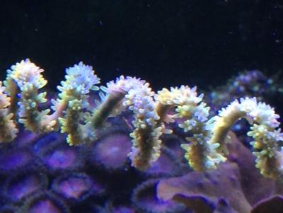 IMG_4097.JPG