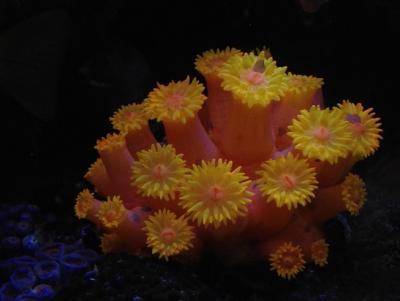 IMG_4137.JPG