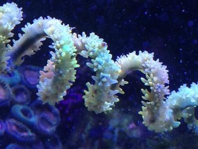 IMG_4179.JPG