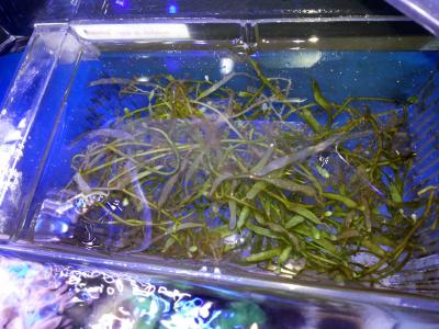 2014-12-15 19.30.37.jpg