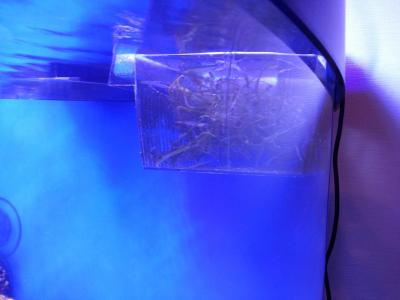 2014-12-12 21.08.04.jpg