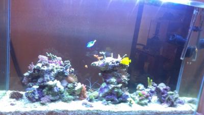 2014-11-30 14.15.20.jpg