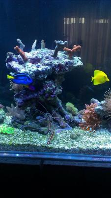 2014-11-30 14.19.02.jpg