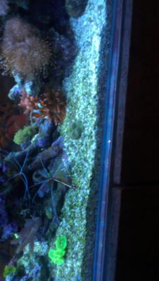 2014-11-30 14.35.56.jpg