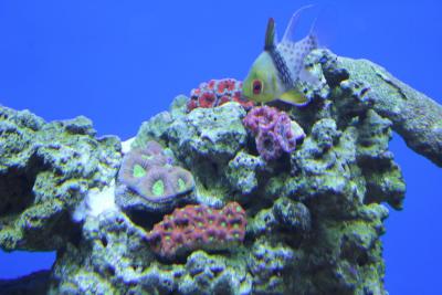 IMG_0861.JPG