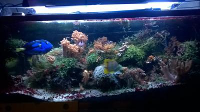 WP_20151226_21_13_30_Pro.jpg
