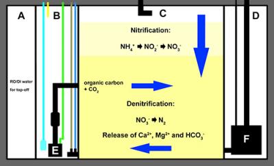 DyMiCo principle.jpg