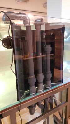 2015-11-04 21-35-54.JPG