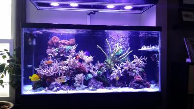 2015-03-14 16.06.48_zpsfoxi0yu3.jpg