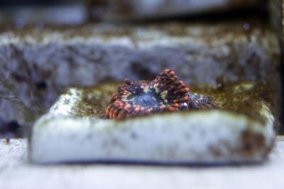 _MG_1543.JPG