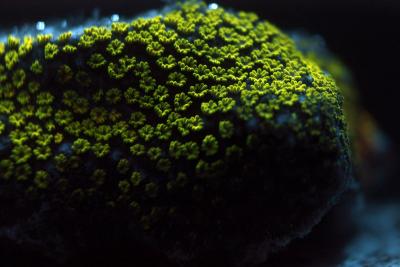 _MG_1549.JPG
