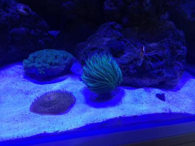 IMG_1337.JPG
