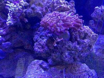 IMG_1338.JPG