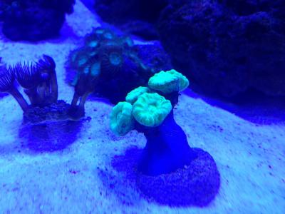 IMG_1340.JPG