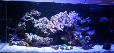 IMG_5436с.jpg