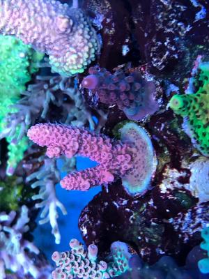 IMG_9013.JPG