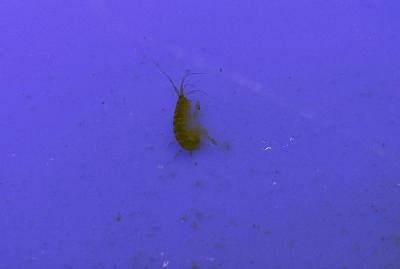 DSC03930.JPG
