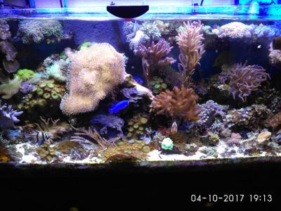 IMG_20171004_1913161.jpg