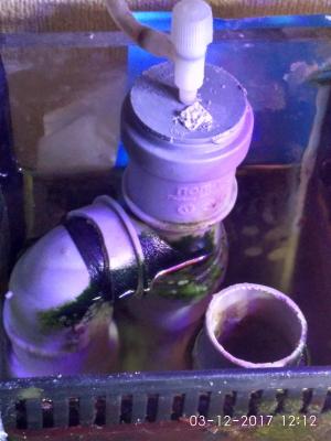 IMG_20171203_121205_HDR1.jpg