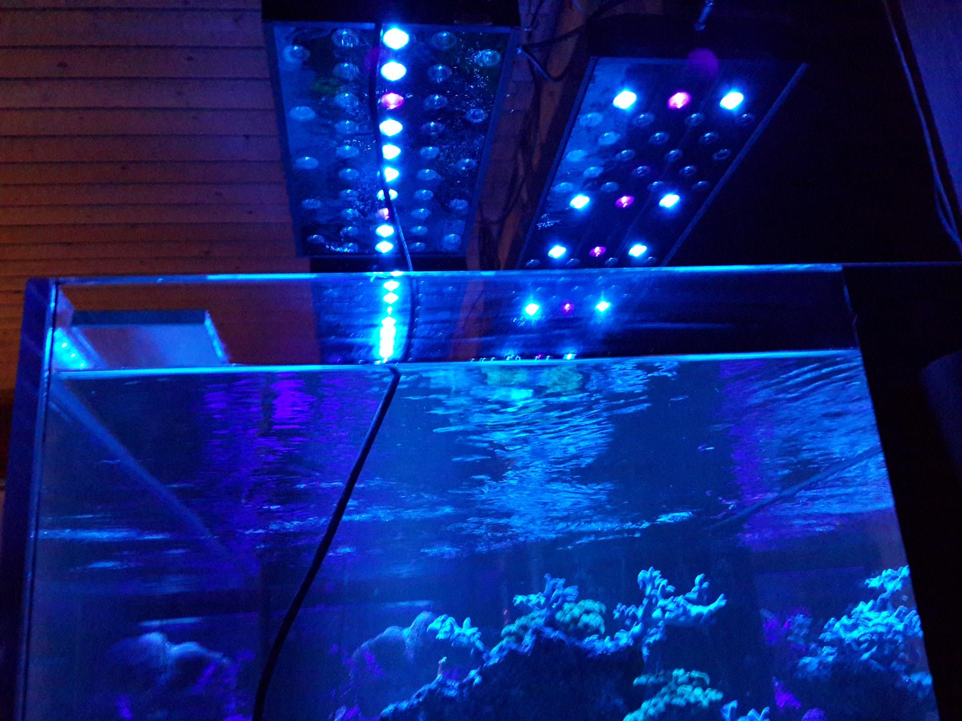 Как сделать освещение аквариума на светодиодах