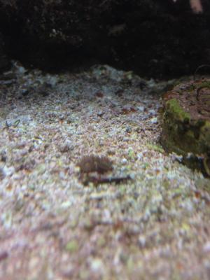 IMG_6868.JPG