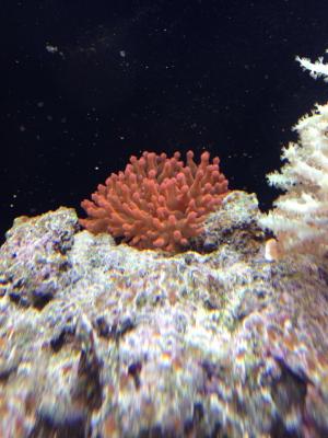 IMG_6947.JPG