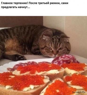 7023-Kogda-ty-dostatochno-terpeliv.jpg