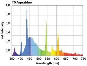 giesemann_aquablue_plus.jpg