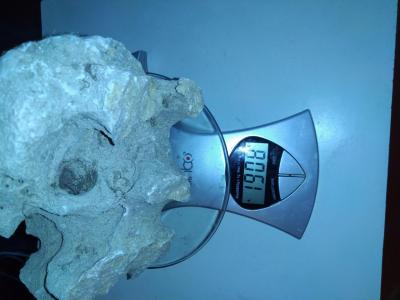 IMG_20201224_161314.jpg