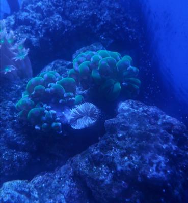 20201227_134915.jpg