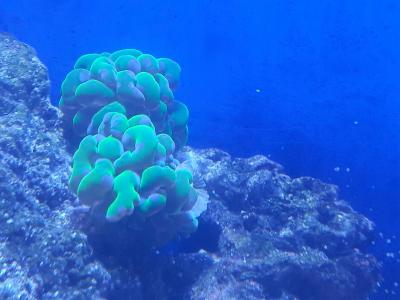 20201227_140210.jpg