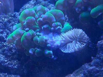 20201227_140219.jpg