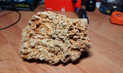 20201228_114942.jpg