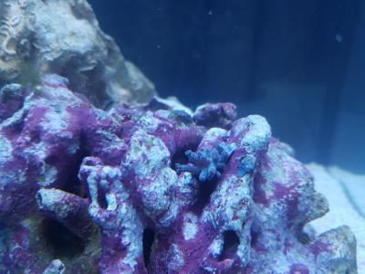 20201207_200724.jpg